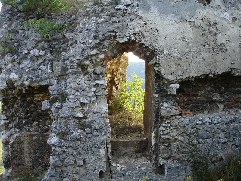 Ruine Falkenstein Waldviertel