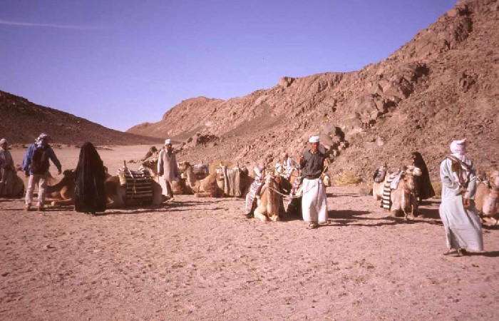 Kamel-Sammelplatz