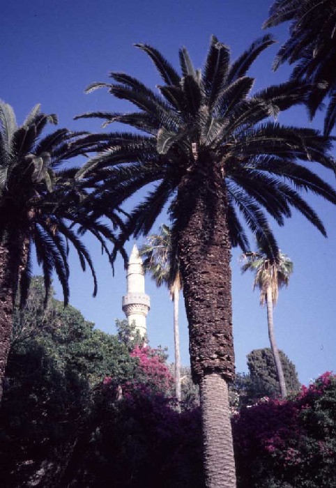 Kos-Stadt