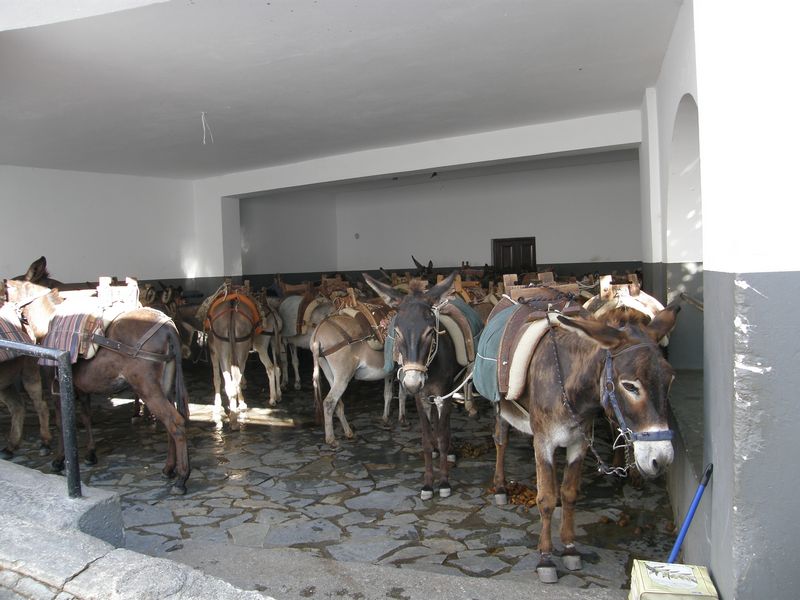 Esel-Garage in Lindos
