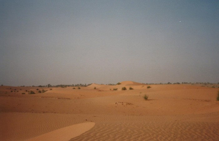 Blick in die Sahara