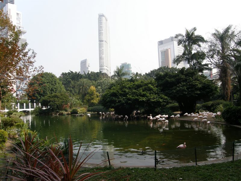 Kowloon-Park