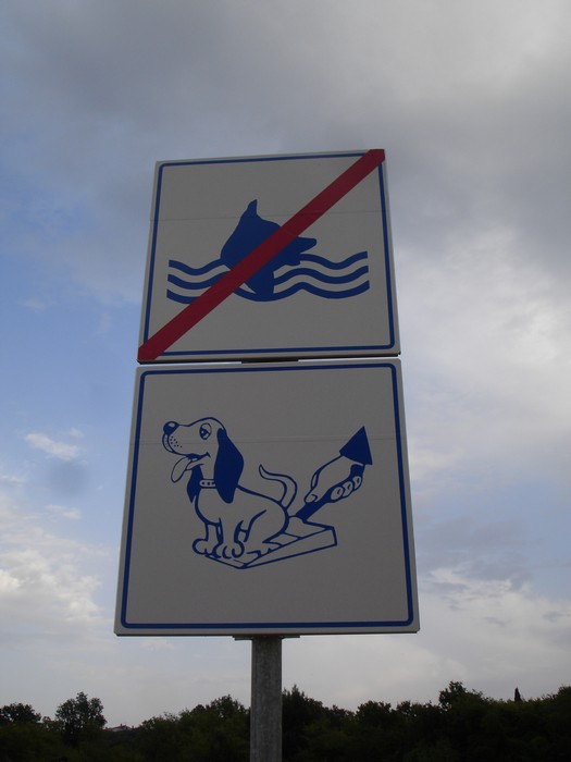 Hunde dürfen nicht schwimmen, müssen auf die Schaufel genommen werden